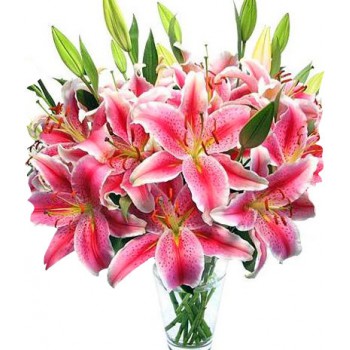 Bahrain Pretty Pink Flower Delivery Lilies Pretty Pink Flower Delivery Bahrain