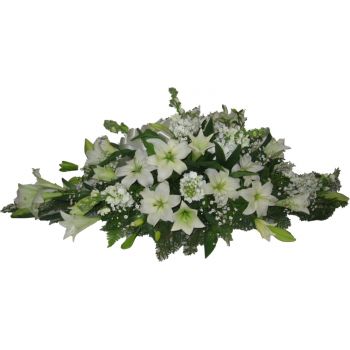 Madrid Alb Sicriu Spray 50cm Latime Inaltime 20cm Livrare De
